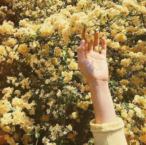Playlist de Printemps !