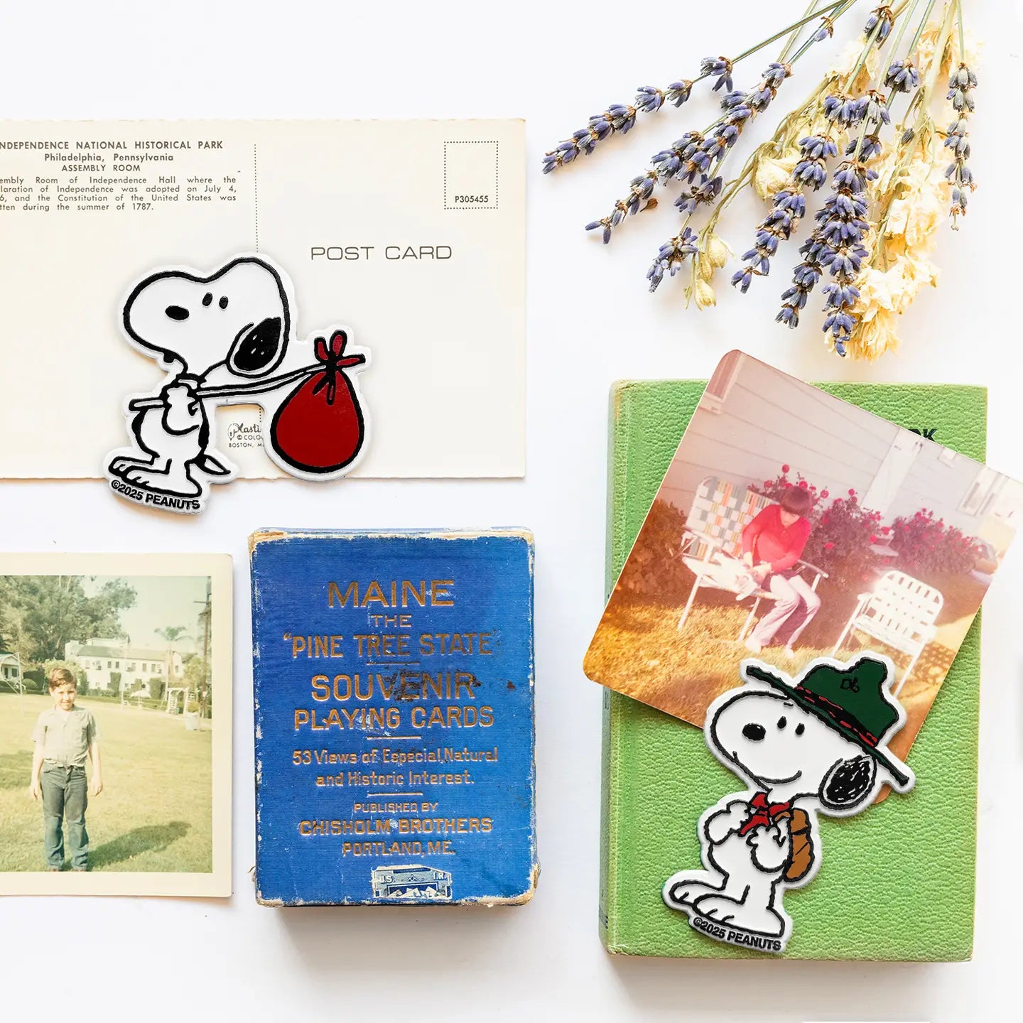 Aimants Peanuts