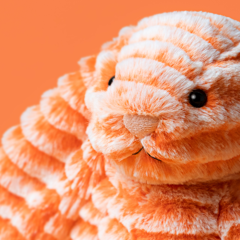 Peluche Lapin Fizzleskip