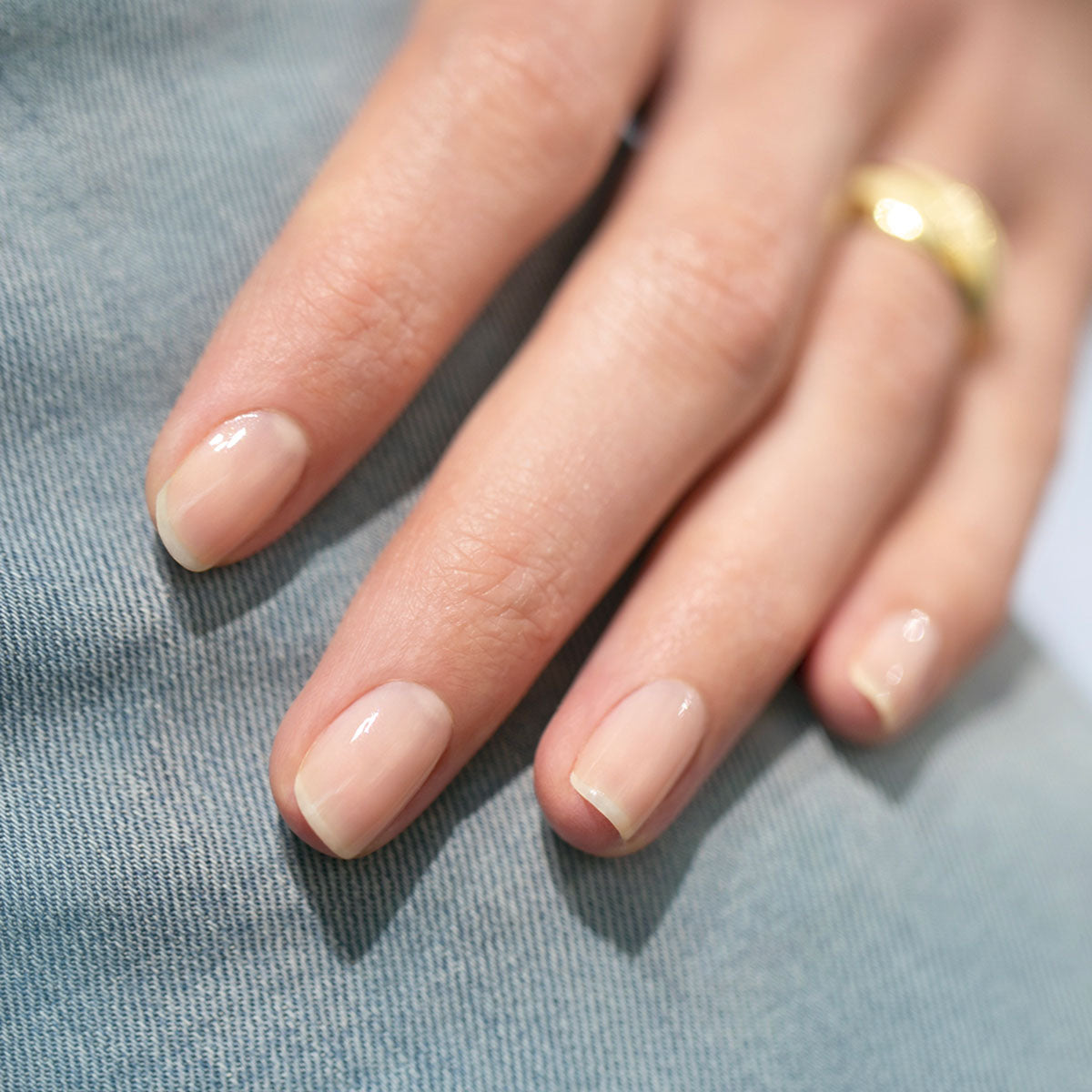 Vernis - Blanc et Naturel
