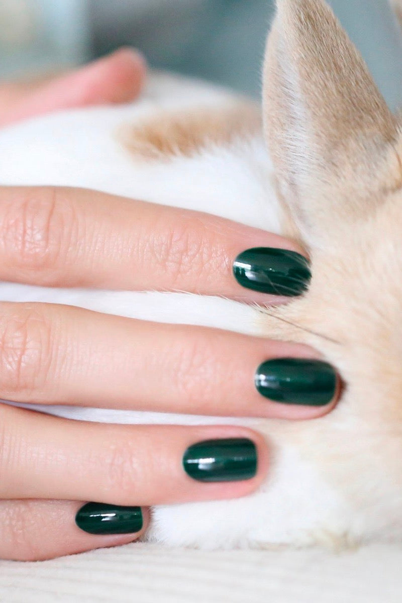 Vernis - Vert et Bleu