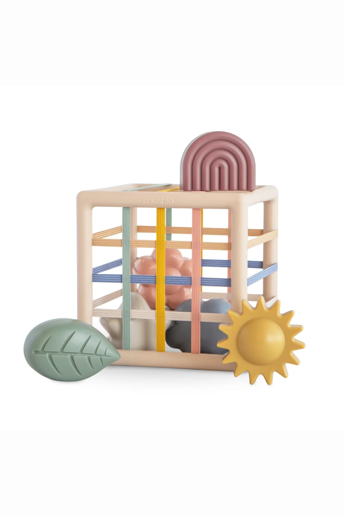 Boîte à Formes Élastiques