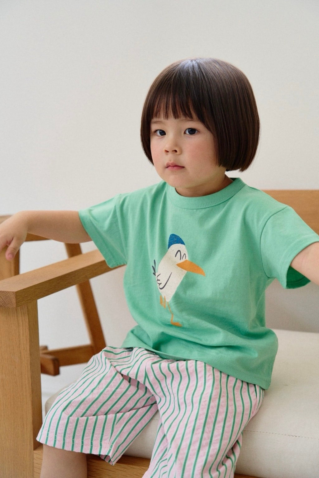 Ensemble Bird Dajoa