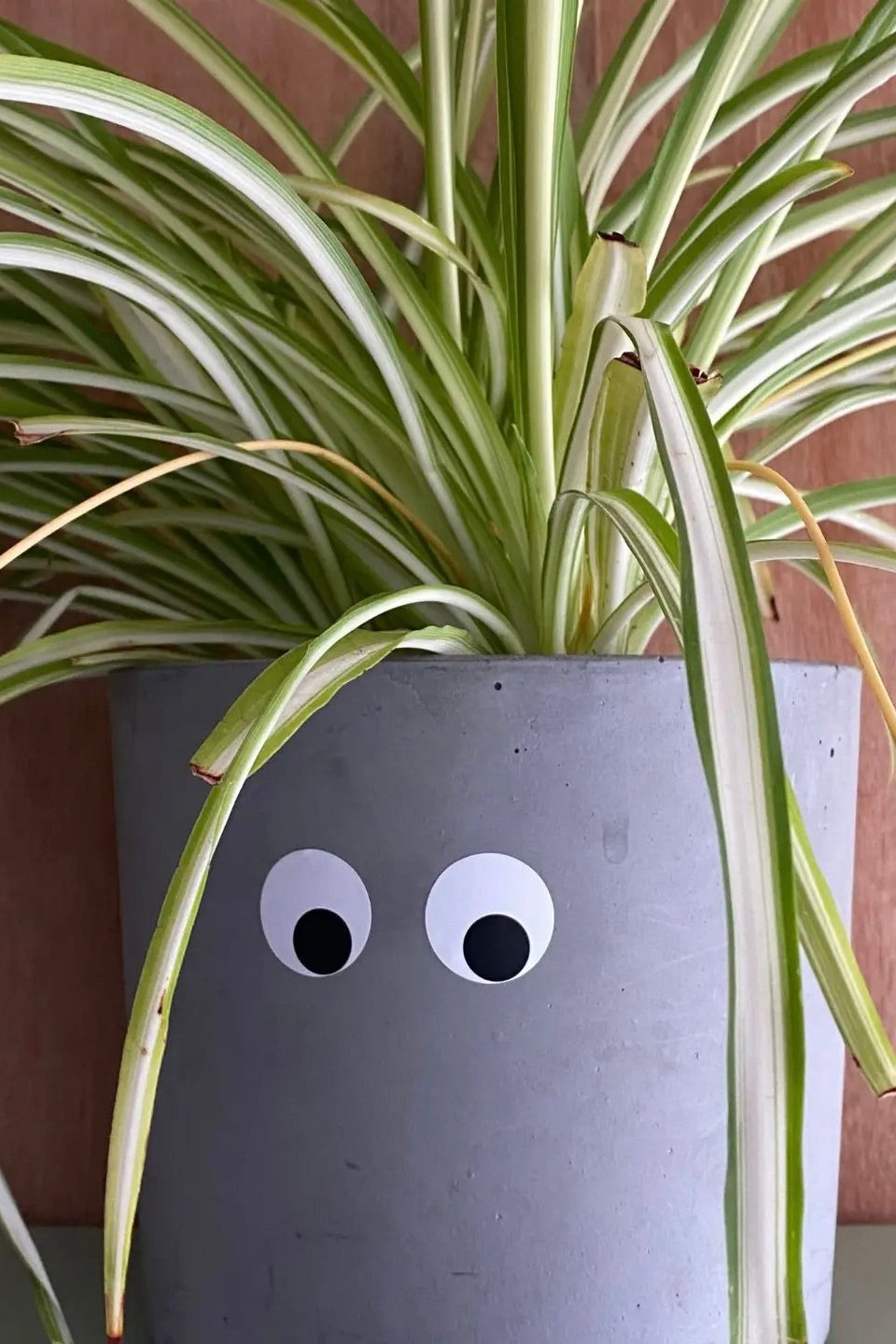 Stickers waterproof Yeux